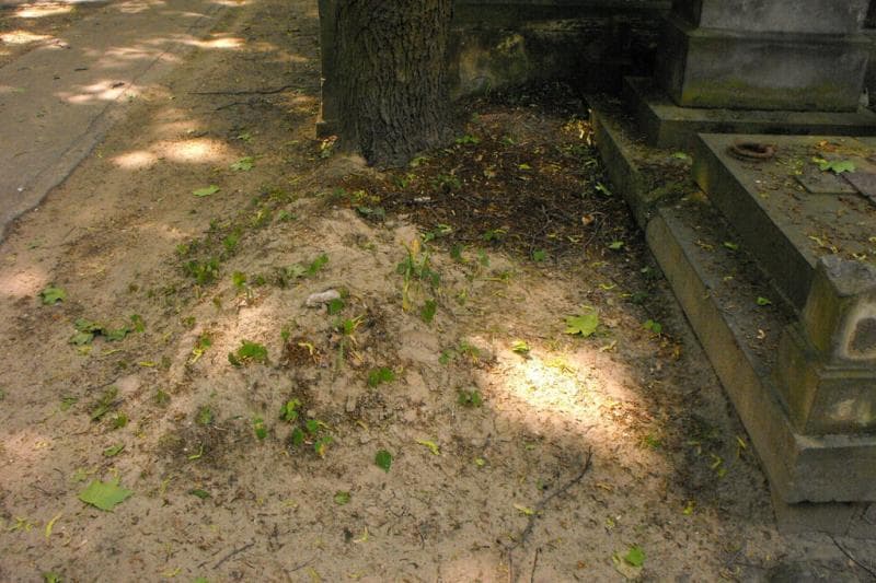 Zdjęcie grobu Pole Grobowe (1)