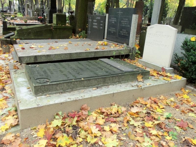 Zdjęcie grobu Janina Gołębiowska (1)