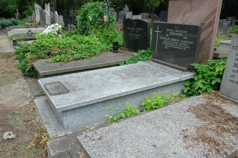 Zdjęcie grobu: Joanna Hermanowa