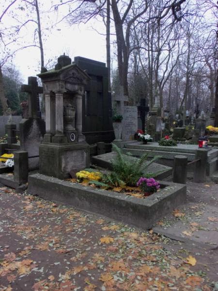 Zdjęcie grobu Joanna Karolina Wysocka (1)