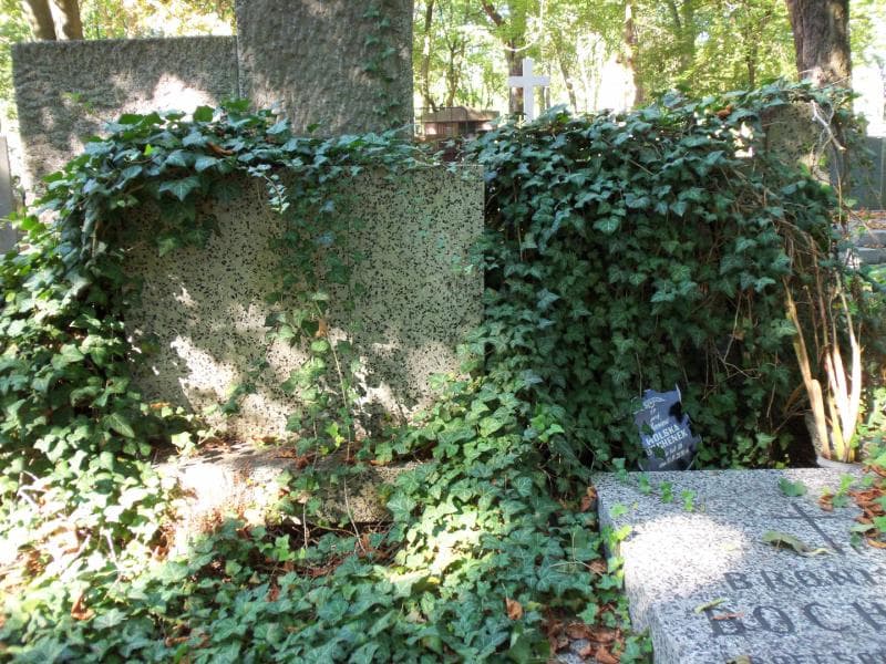 Zdjęcie grobu Janina Wolska-Bochenek (2)