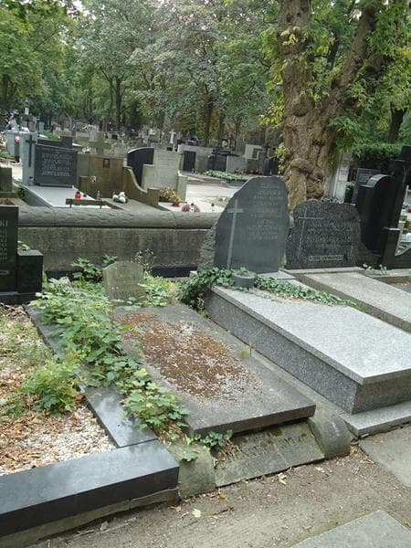 Zdjęcie grobu Wiktoria Rylke (1)