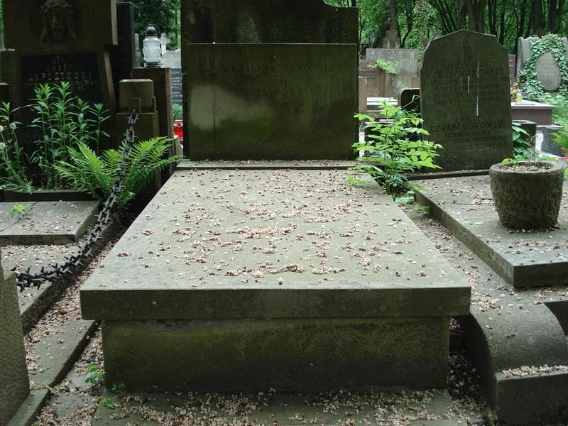 Zdjęcie grobu: Władysław Budek