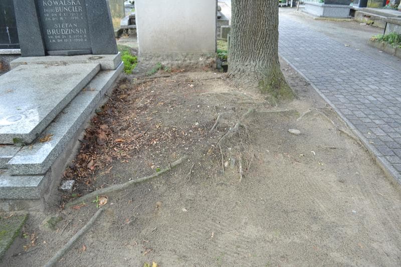 Zdjęcie grobu Pole Grobowe (1)