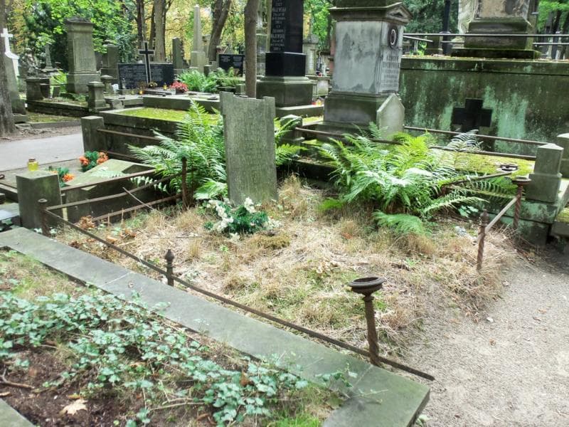 Zdjęcie grobu Teofila Fiszer (1)