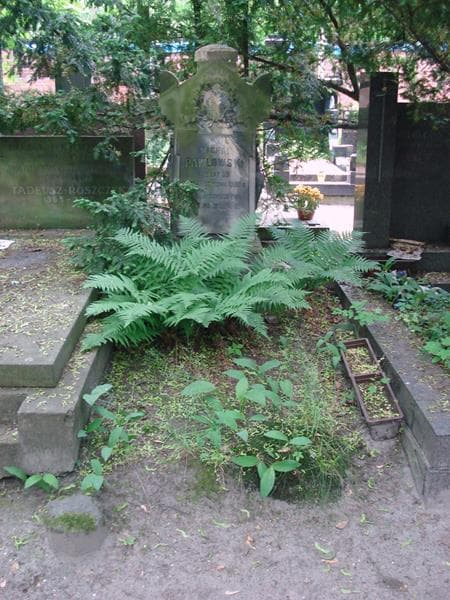 Zdjęcie grobu Michał Pawłowski (1)