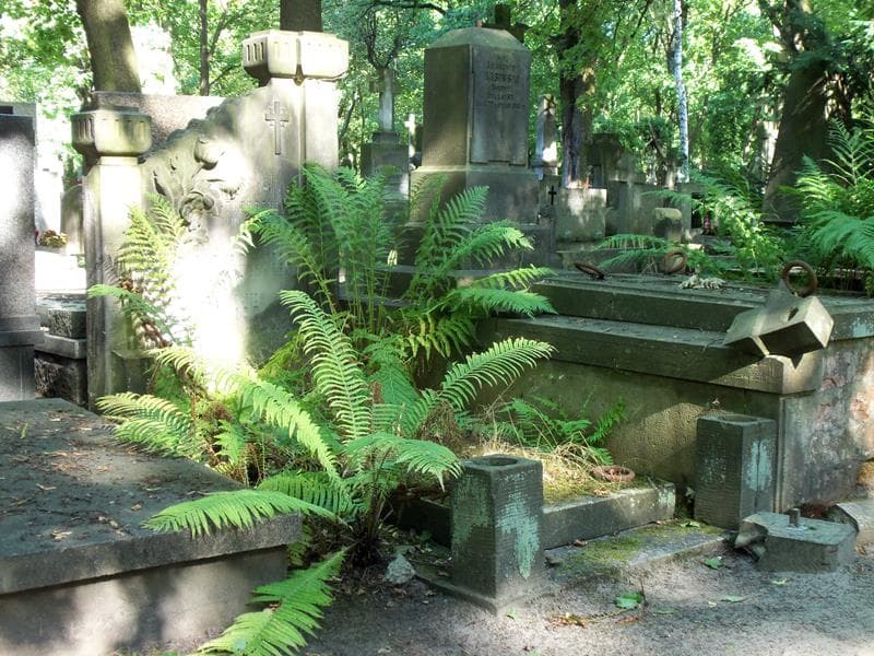 Zdjęcie grobu Wacław Tchorznicki (1)