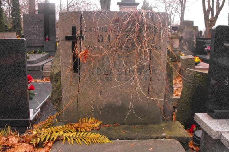 Zdjęcie grobu Jadwiga Dippel (2)