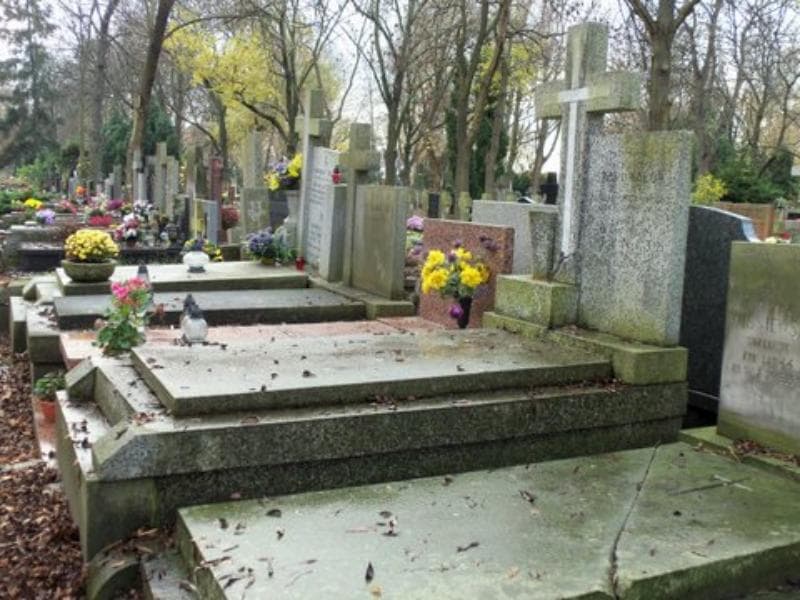 Zdjęcie grobu Zofia Tunij (1)
