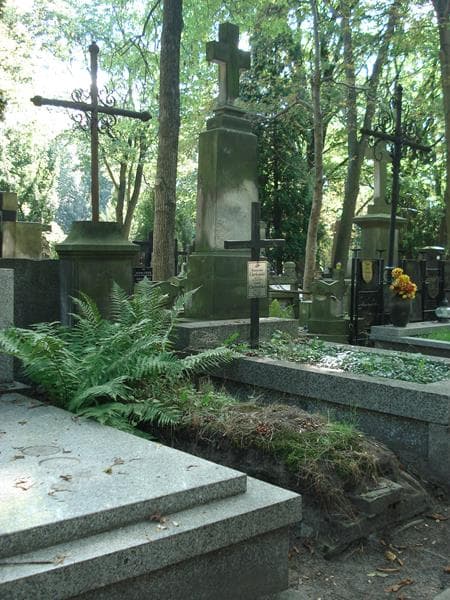 Zdjęcie grobu Aniela Rychlińska (1)