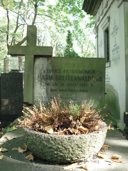 Zdjęcie grobu Zygmunt Breitenwald (2)