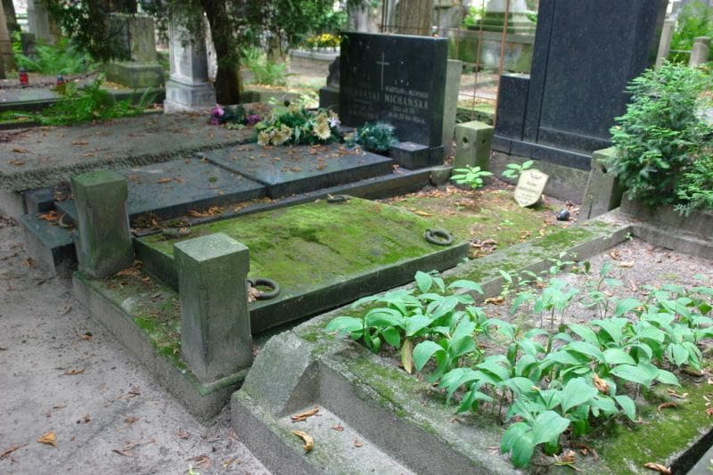 Zdjęcie grobu Halina Andrychewicz (1)