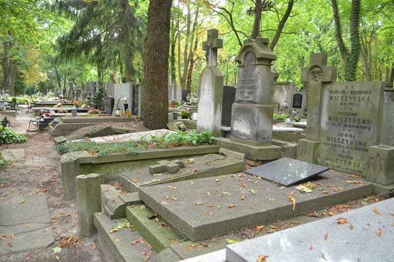 Zdjęcie grobu: Karol Dudziński