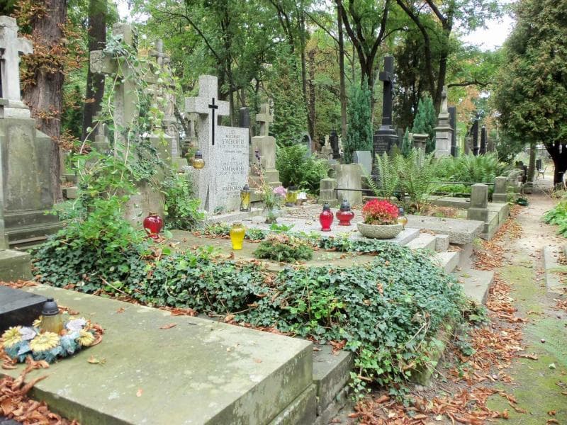 Zdjęcie grobu Rajmund Nałęcz-Łączyński (1)