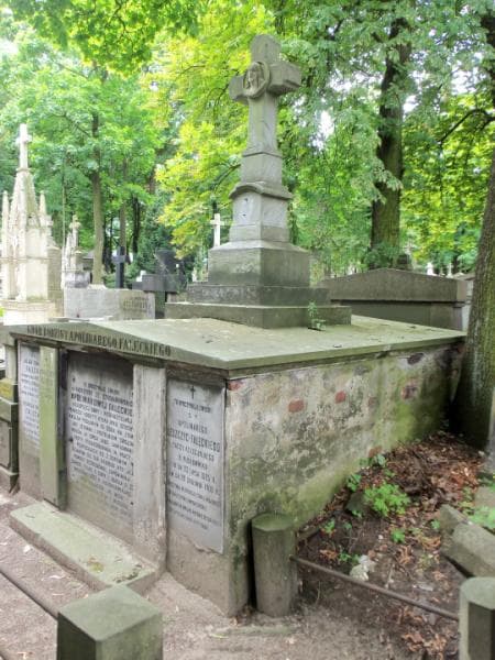 Zdjęcie grobu Apolinary Leszczyc-Falęcki (1)