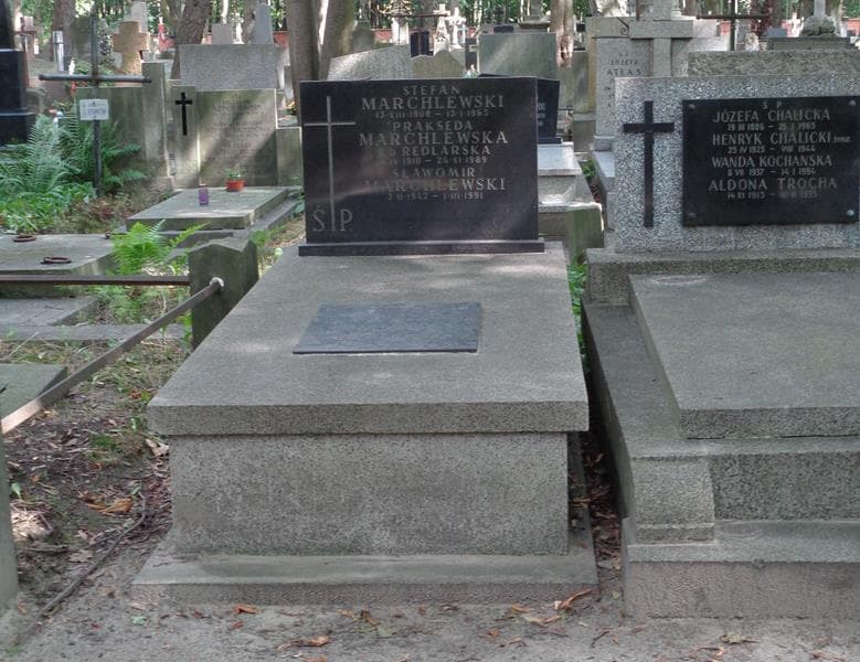 Zdjęcie grobu Sławomir Marchlewski (1)