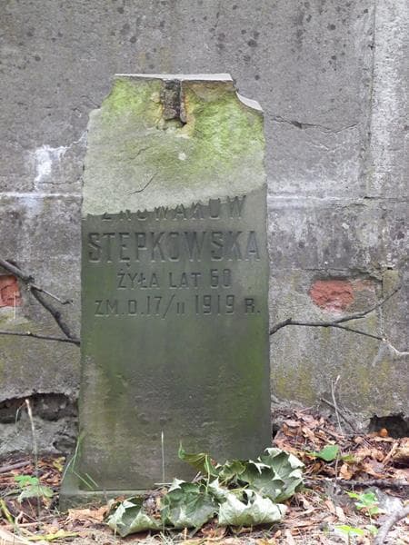 Zdjęcie grobu ... Stępkowska (2)