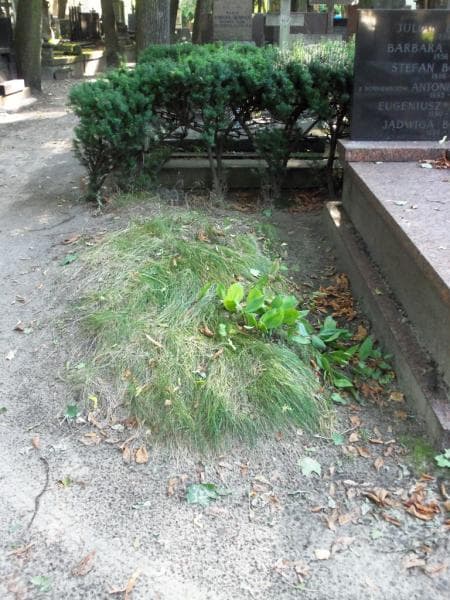 Zdjęcie grobu Pole Grobowe (2)