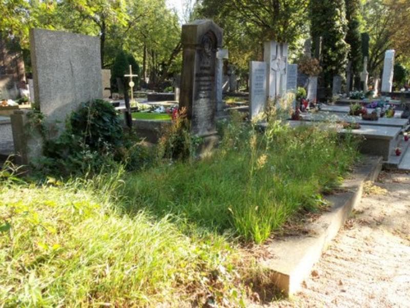 Zdjęcie grobu Wiktoria Makowska (1)
