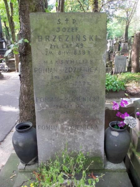 Zdjęcie grobu Jadwiga Pomian-Zdzienicka (2)
