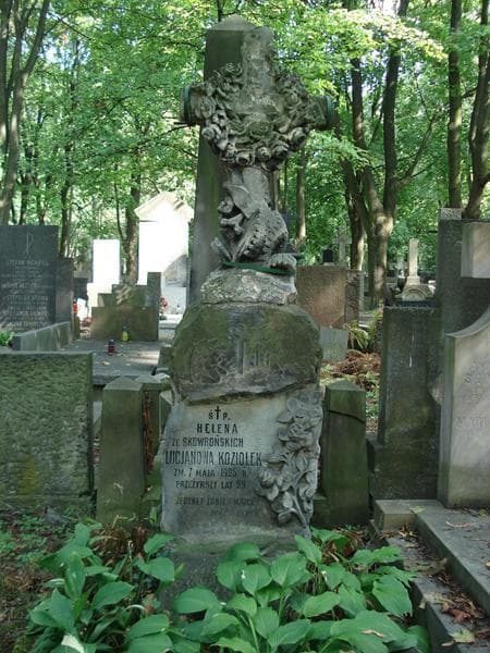 Zdjęcie grobu Tadeusz Koziołek (2)