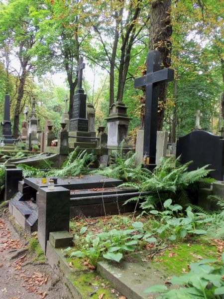 Zdjęcie grobu Olgierd Hube (1)