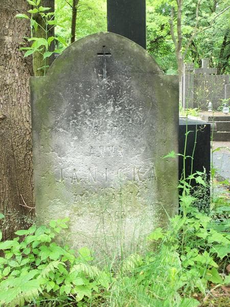 Zdjęcie grobu Anna Janicka (2)