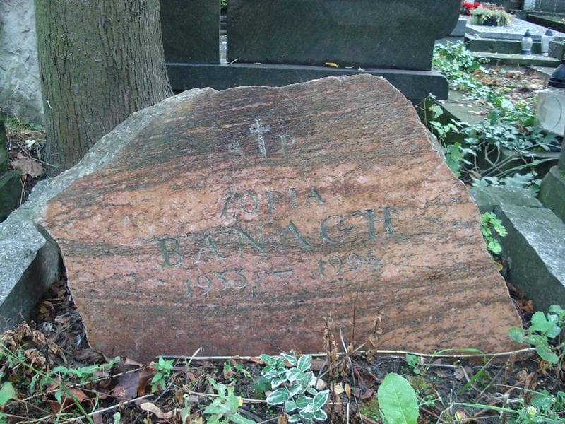 Zdjęcie grobu Zofia Banach (2)