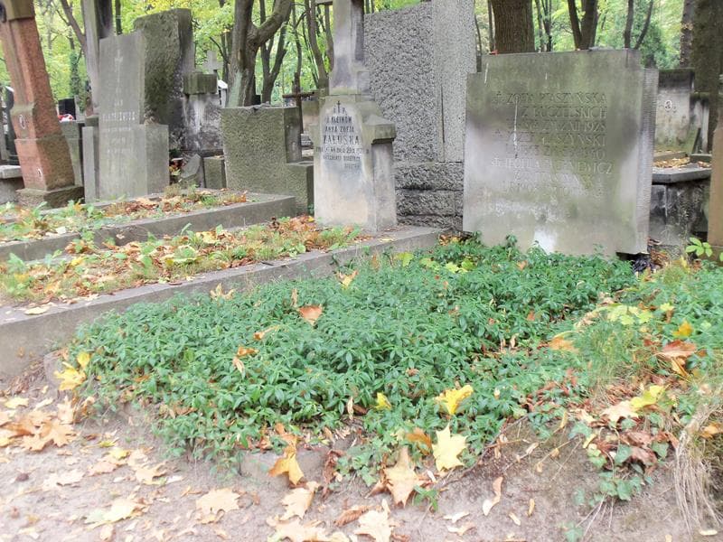Zdjęcie grobu Józef Ptaszyński (1)