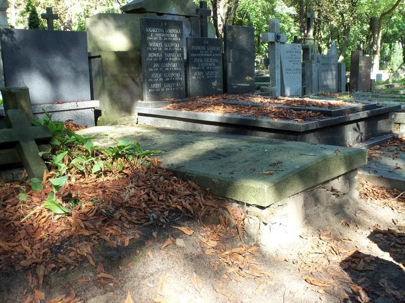 Zdjęcie grobu Bronisława Olszewska (1)