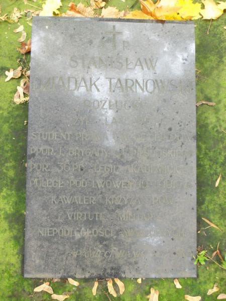 Zdjęcie grobu Stanisław Dziadak Tarnowski (2)