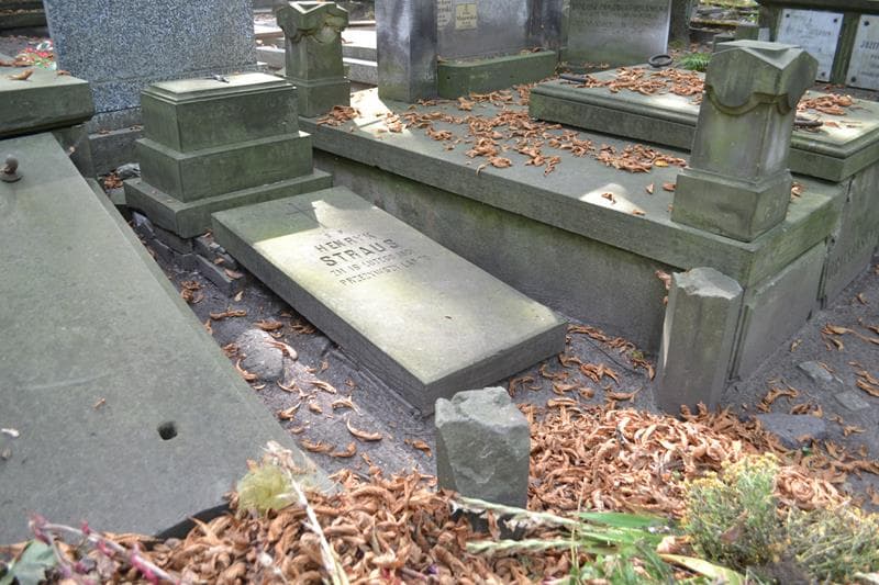 Zdjęcie grobu: Henryk Straus