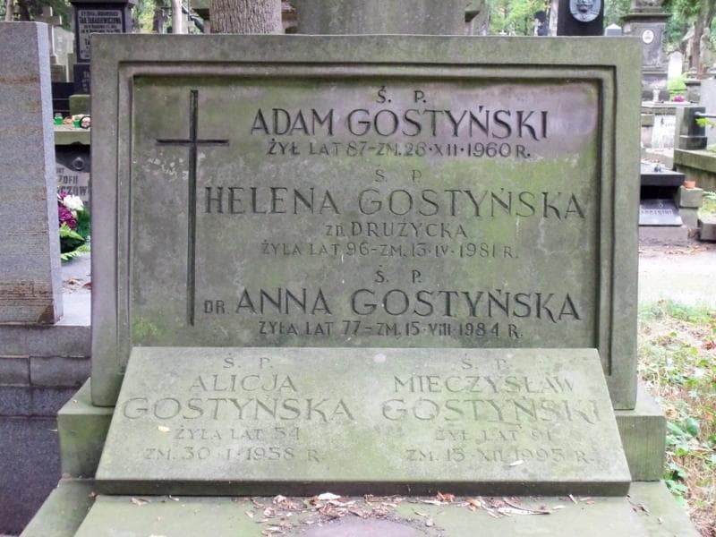 Zdjęcie grobu Anna Gostyńska (2)