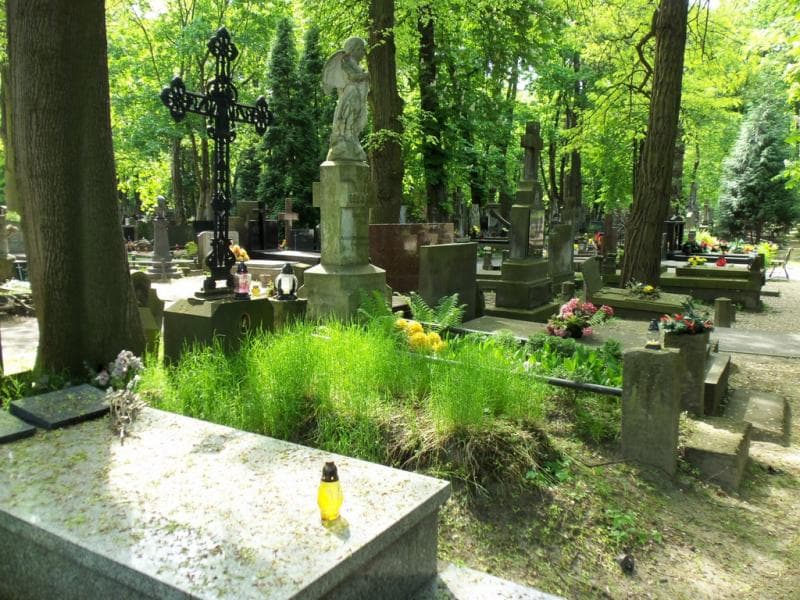Zdjęcie grobu Felicja Jedlińska (1)
