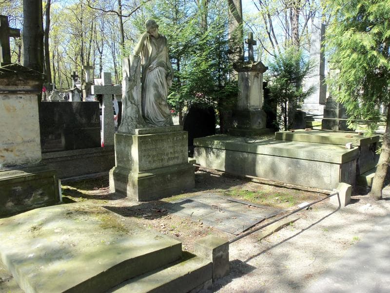 Zdjęcie grobu Alexander Janicki (1)