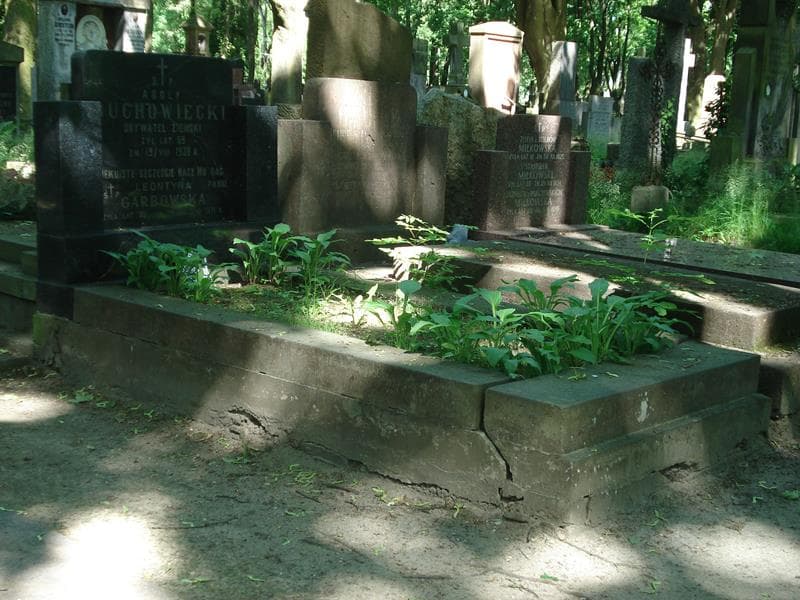 Zdjęcie grobu Adolf Buchowiecki (1)