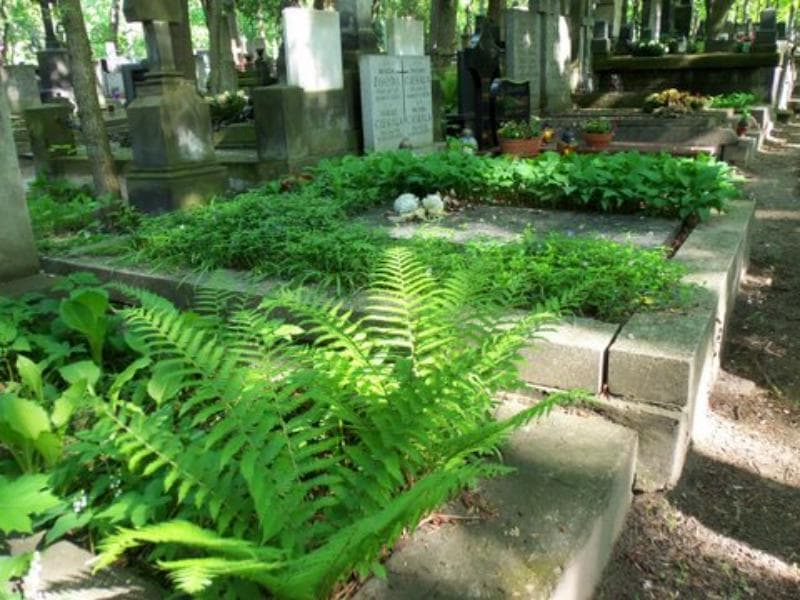 Zdjęcie grobu Karol Szczeciński (2)