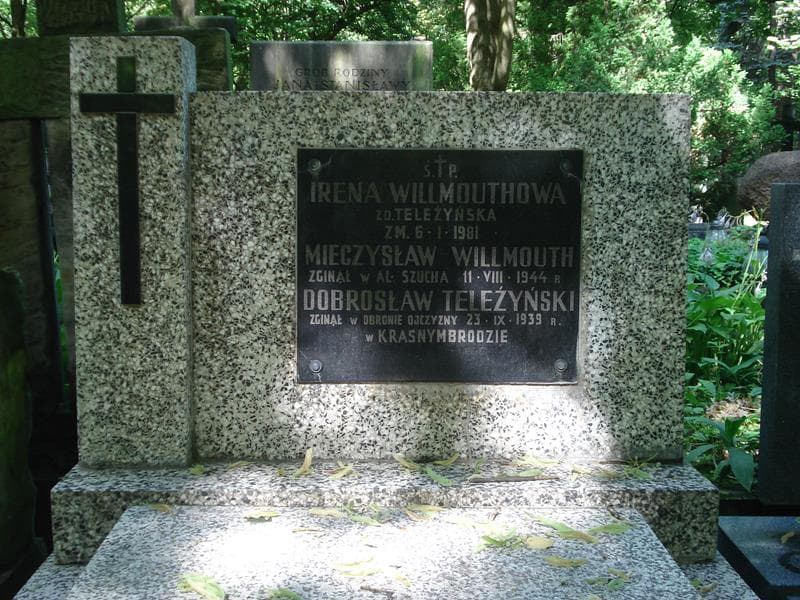Zdjęcie grobu Dobrosław Teleżyński (2)