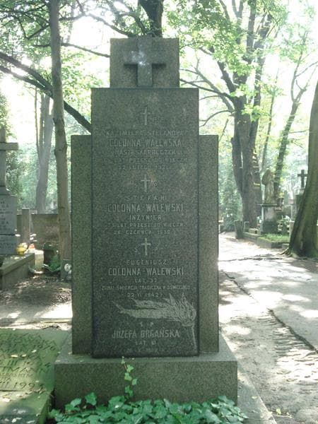 Zdjęcie grobu Eugeniusz Colonna-Walewski (2)