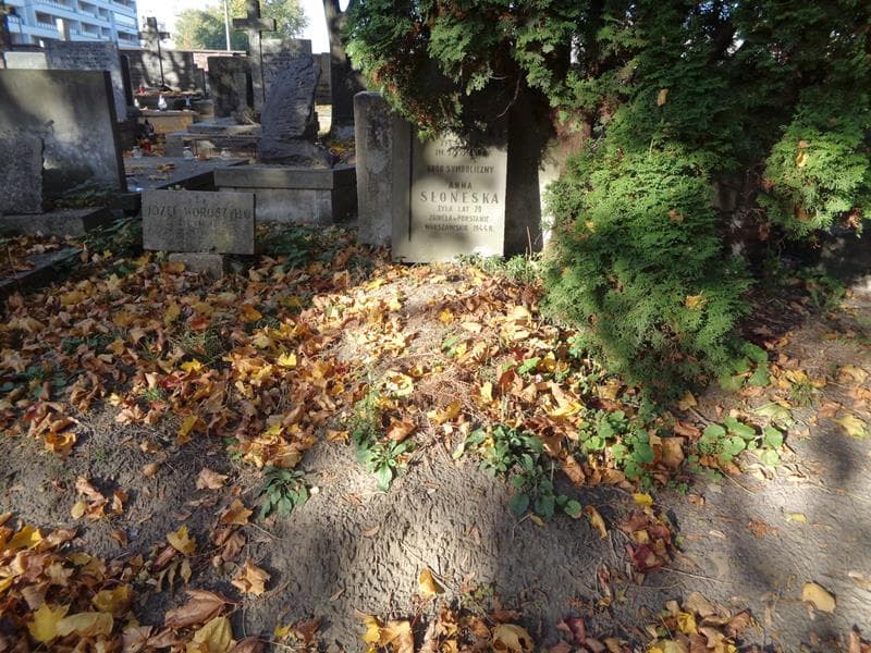 Zdjęcie grobu Kazimierz Słoneski (1)