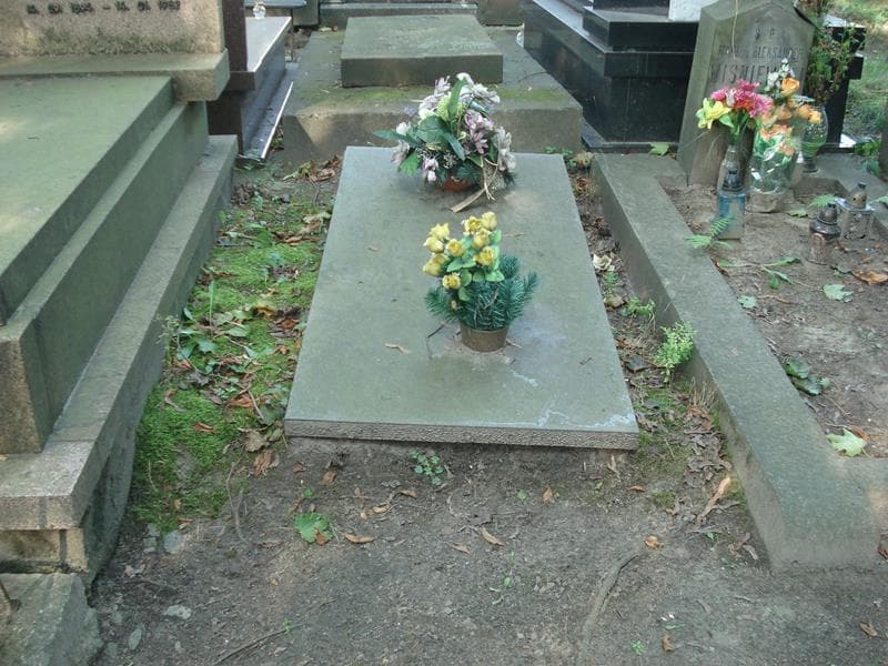 Zdjęcie grobu Aniela Pilchowa (1)