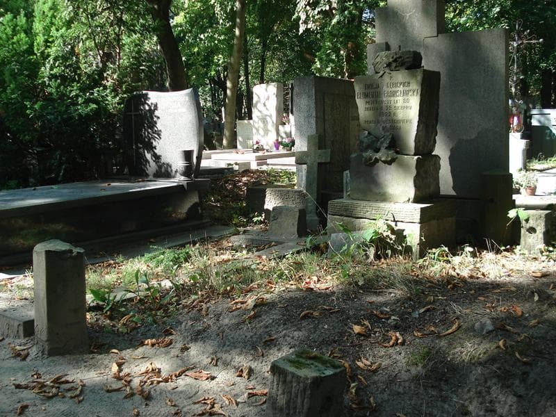Zdjęcie grobu Emilja Blumental-Bronisławska (1)