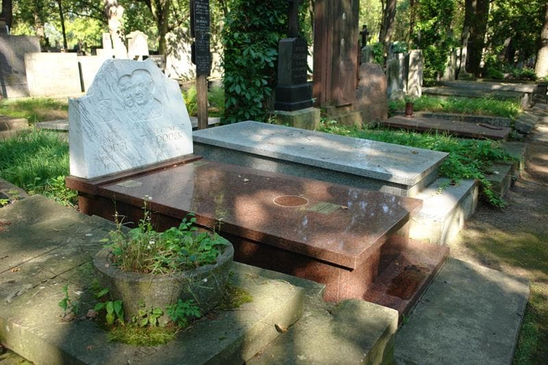 Zdjęcie grobu Halina Dodek (1)