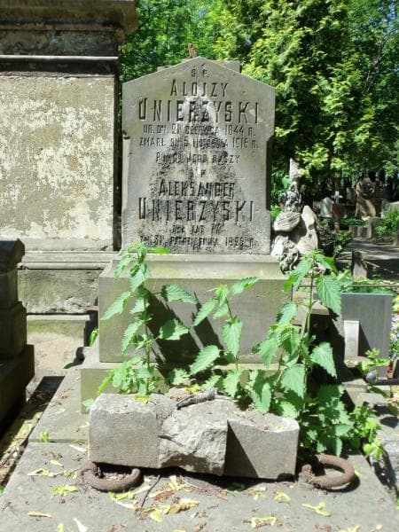 Zdjęcie grobu Aleksander Unierzyski (2)
