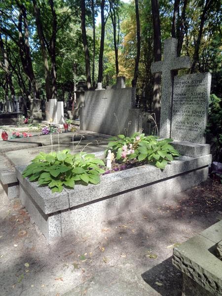 Zdjęcie grobu: Anna Wolan
