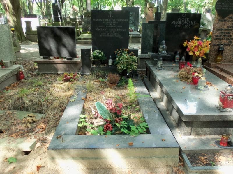 Zdjęcie grobu: Wawrzyniec Siemiński