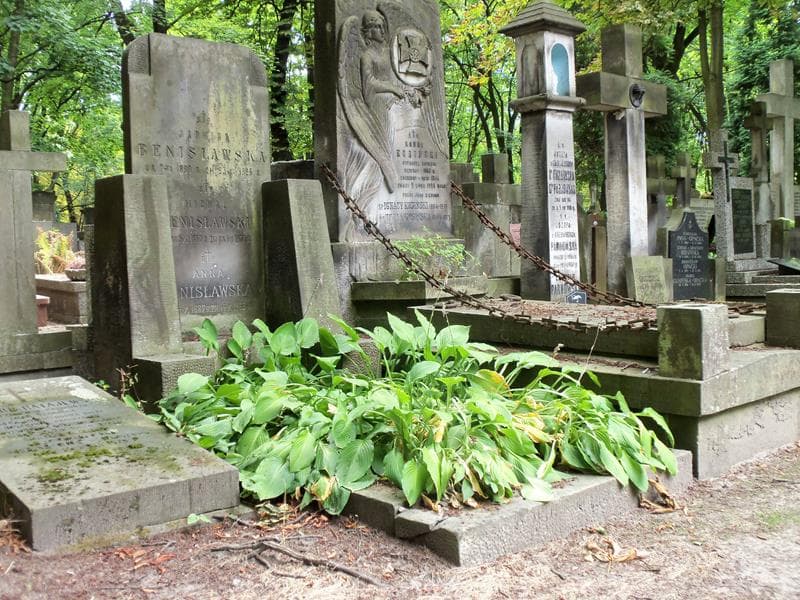 Zdjęcie grobu Anna Benisławska (1)