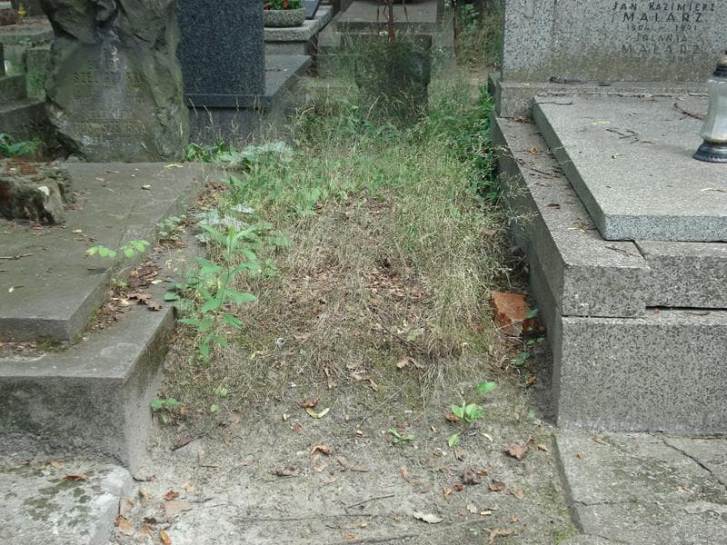 Zdjęcie grobu: Pole Grobowe
