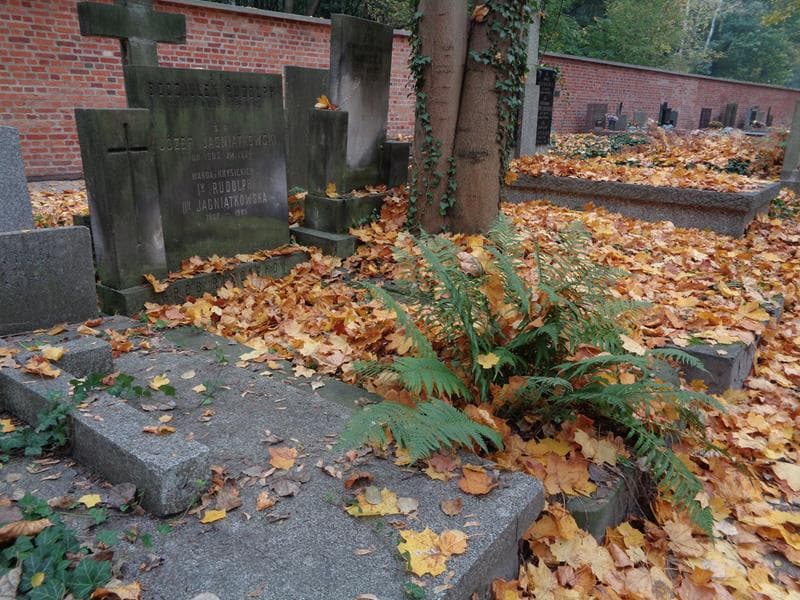 Zdjęcie grobu: Józef Jagniątkowski