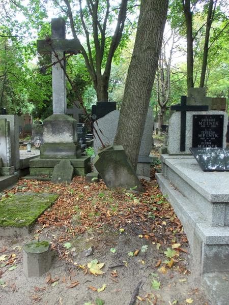 Zdjęcie grobu: Józef Niedźwiecki